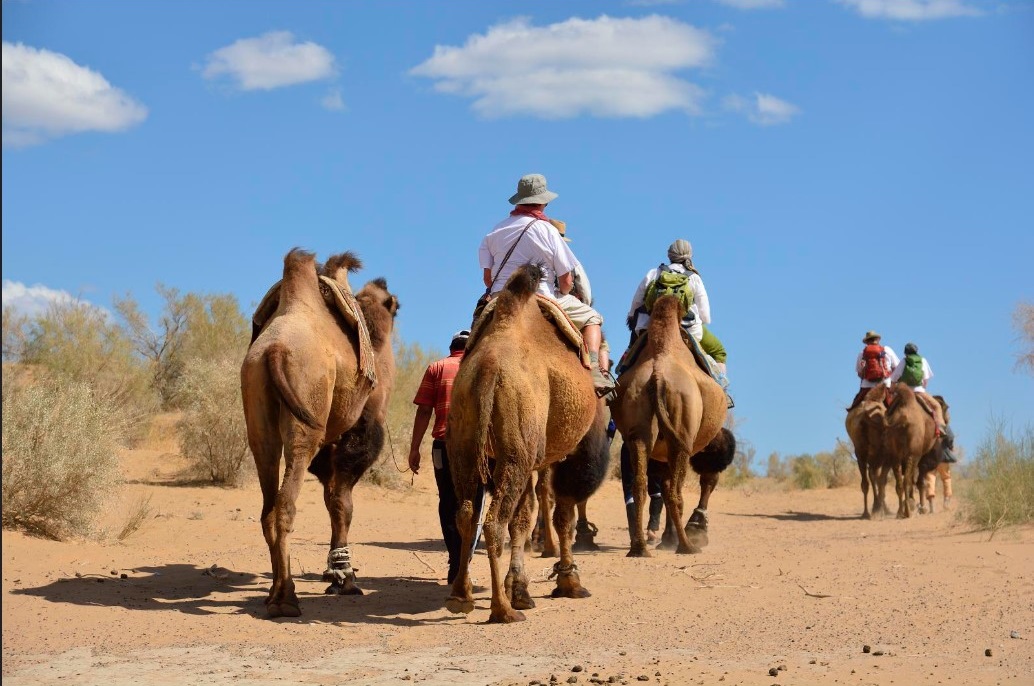 Uzbekistan - Yurt Camp Safari