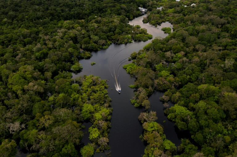 Amazon - Natives