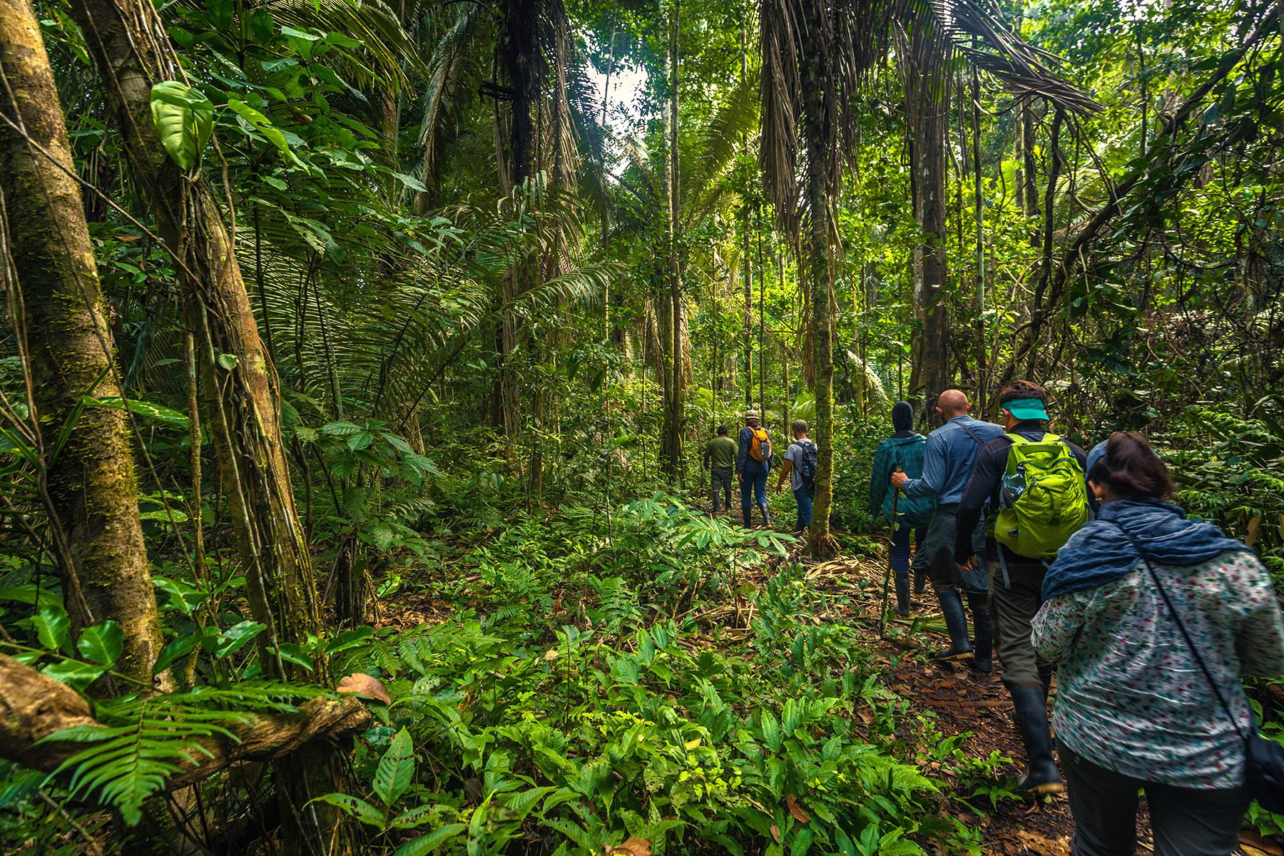 Amazon - Jungle trekking